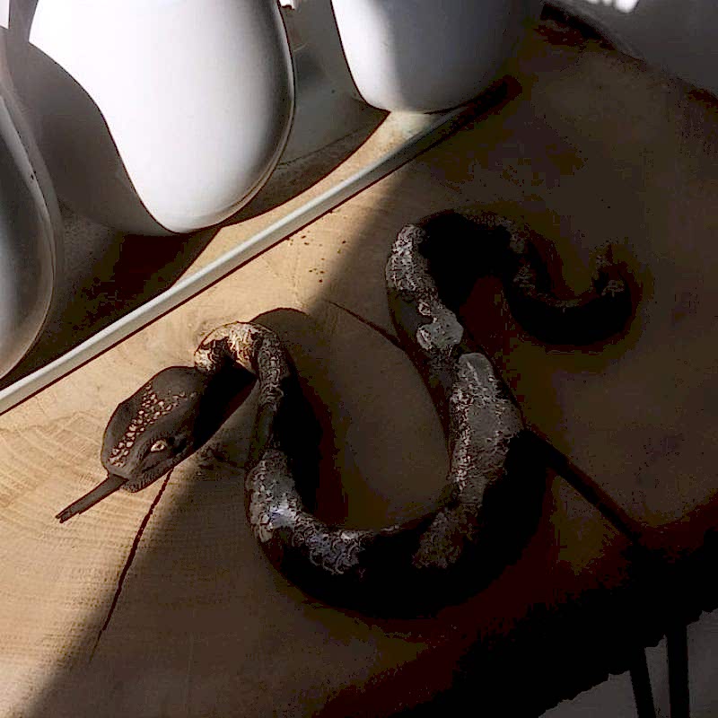 50636889_2258620637522098_1148685343452384738_n